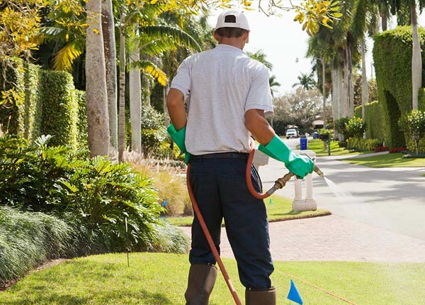 About Manteca CA Pest Control